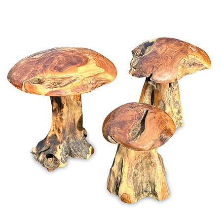 Root Chunky Mushrooms set of 3