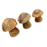 Root Mushrooms set of 3