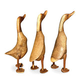 Smooth Ducks Large 45cm set of 3