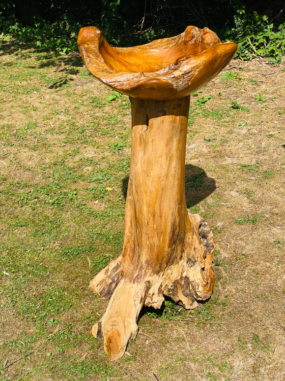 Root Giant Bird Bath