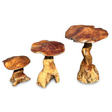 Teak Root Giant Wild Toadstools set of 3